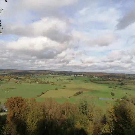 Foret De C'est Moi *