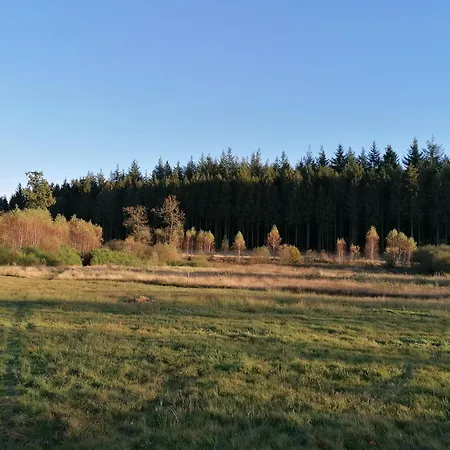 Foret De C'est Moi Bièvre