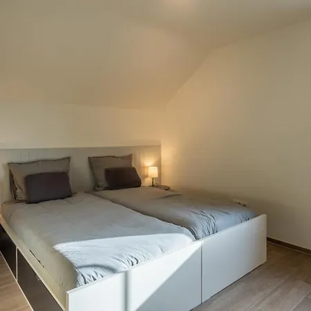 Foret De C'est Moi Bièvre