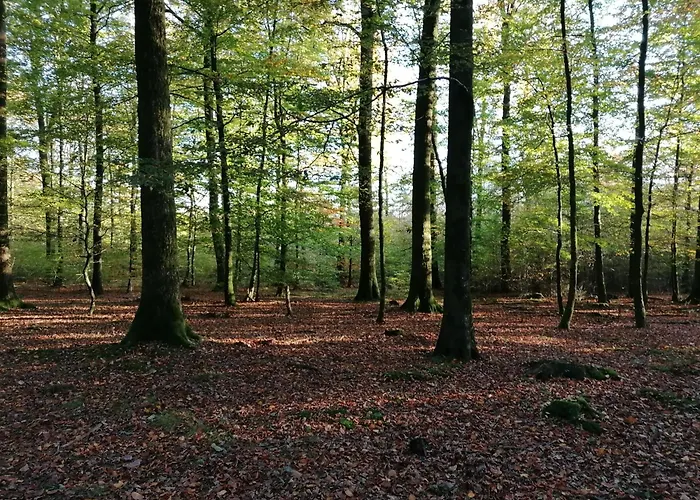 Casa vacanze Foret De C'est Moi